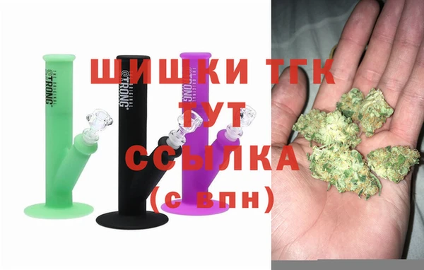 дмт Белокуриха