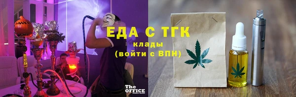 индика Богородицк