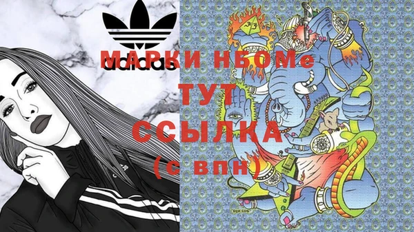 дмт Белокуриха