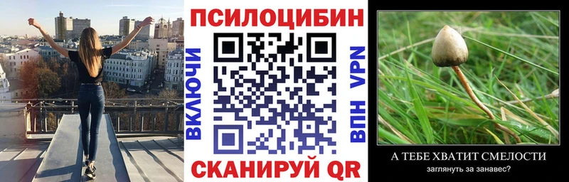 Галлюциногенные грибы Magic Shrooms  хочу наркоту  Ногинск 