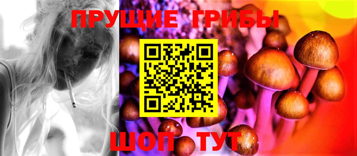 Галлюциногенные грибы Psilocybine cubensis Ногинск